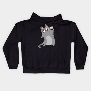 Pride Flag Gray Tabby Cat Pride Month Celebration Rainbow Flag Kids Hoodie